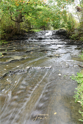 Billy Monkley Cascade