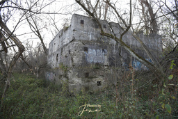 Alfred Watt's Power Station