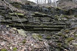 Lewis Rd. East Falls