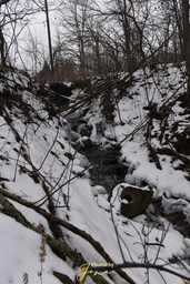 West of Fifty Upper Cascade