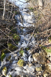 McCormack Falls : Frozen