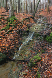 West Betzner Cascade