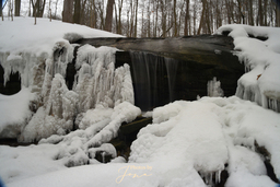 Lower West of Fifty Falls
