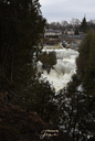 Elora Gorge Falls